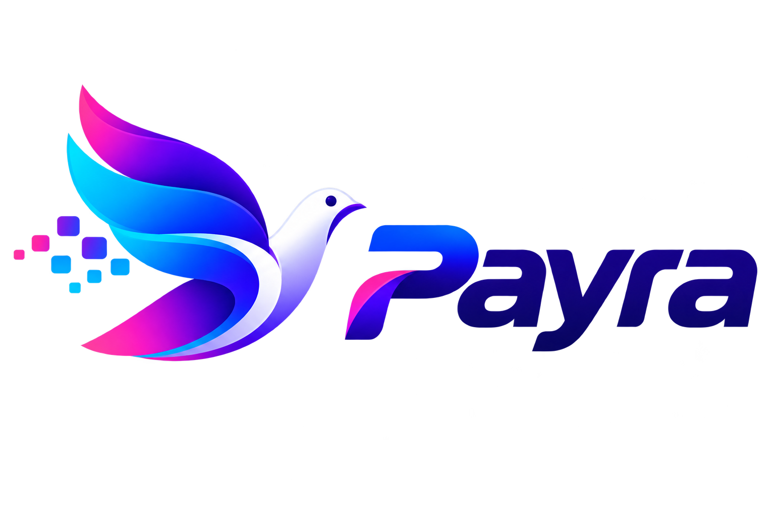 Payra logo